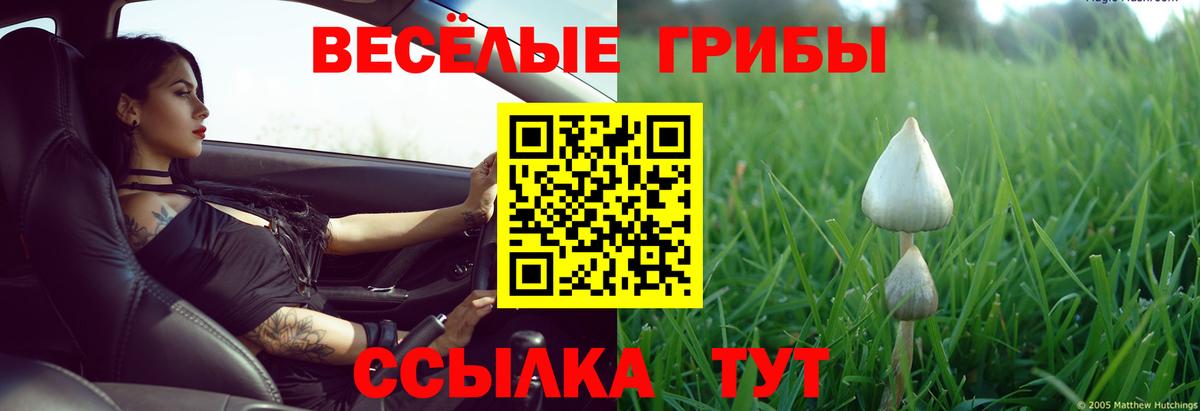 Галлюциногенные грибы мухоморы  Вход с VPN  Псилоцибиновые грибы прущие грибы  Наро-Фоминск 